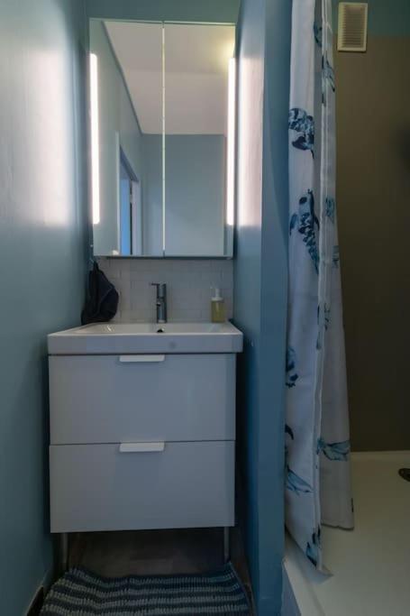 Renovated 2-bed 2 Min From Lyon Apartment Oullins